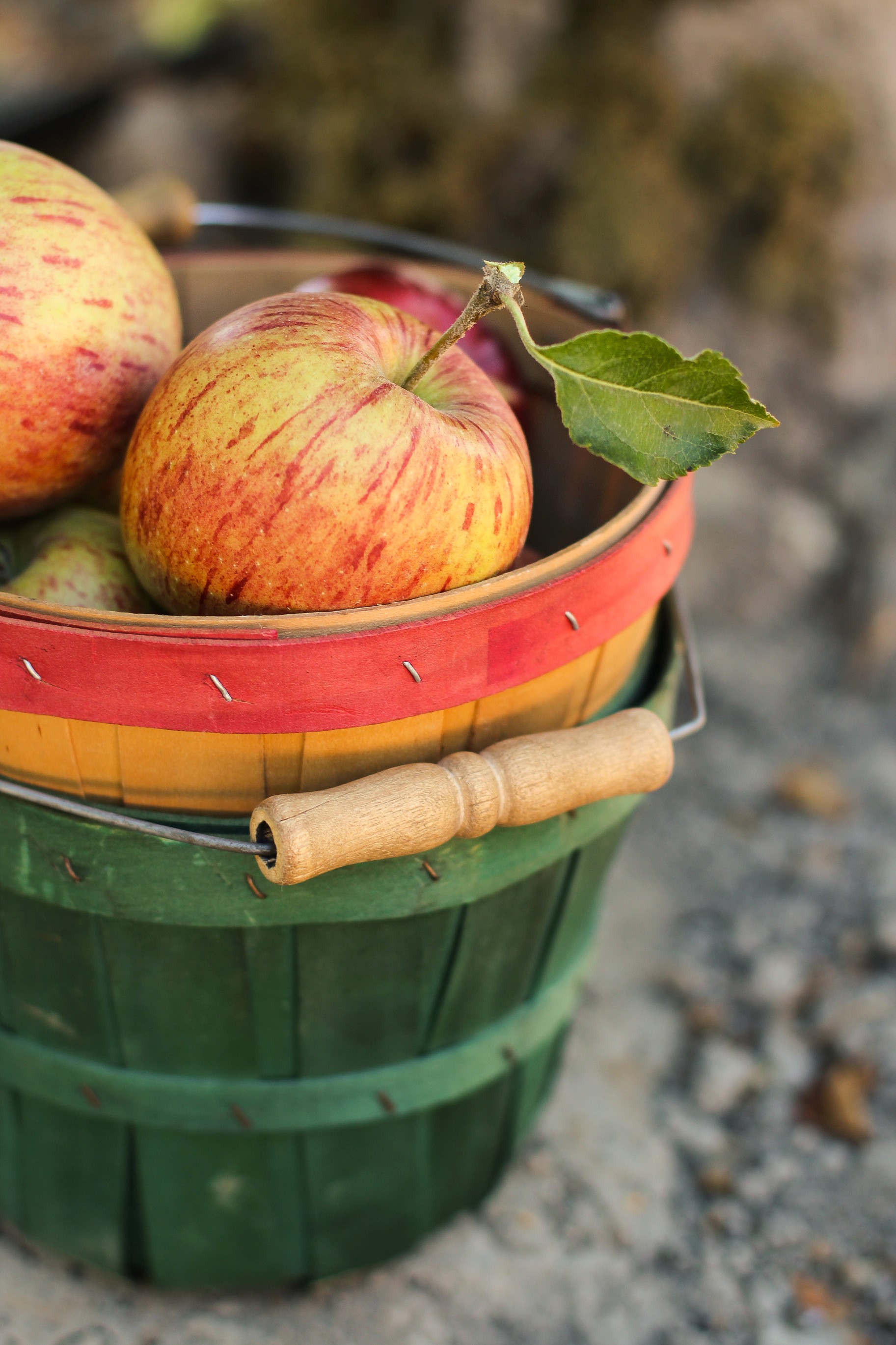 Bucket of Apples Church Stock Photo